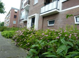 groenvoorziening vereniging van eigenaren
