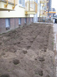 voorbereiding plantwerk