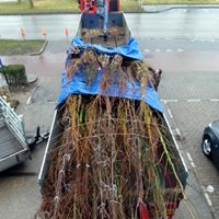 boomkluiten afzeilen bij transport